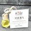 Anura: Forest in bottle