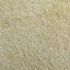 Evaporated Cane Juice Powder 25g